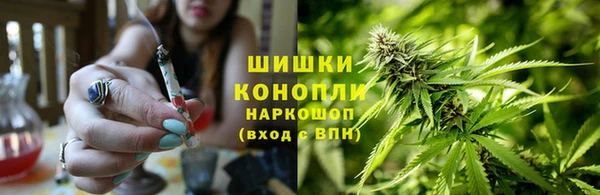 винт Верея