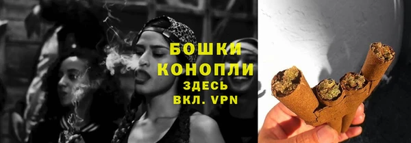 apvp Богданович
