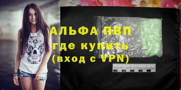винт Верея